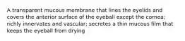 A transparent mucous membrane that lines the eyelids and covers the anterior surface of the eyeball except the cornea; richly innervates and vascular; secretes a thin mucous film that keeps the eyeball from drying