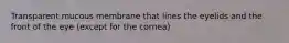 Transparent mucous membrane that lines the eyelids and the front of the eye (except for the cornea)