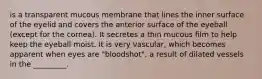 is a transparent mucous membrane that lines the inner surface of the eyelid and covers the anterior surface of the eyeball (except for the cornea). It secretes a thin mucous film to help keep the eyeball moist. It is very vascular, which becomes apparent when eyes are "bloodshot", a result of dilated vessels in the _________.