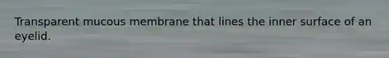 Transparent mucous membrane that lines the inner surface of an eyelid.