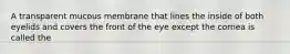 A transparent mucous membrane that lines the inside of both eyelids and covers the front of the eye except the cornea is called the