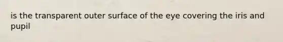is the transparent outer surface of the eye covering the iris and pupil
