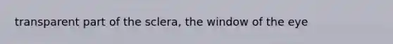 transparent part of the sclera, the window of the eye