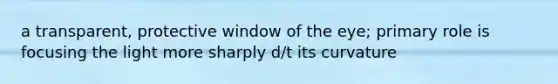 a transparent, protective window of the eye; primary role is focusing the light more sharply d/t its curvature