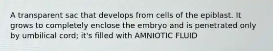 A transparent sac that develops from cells of the epiblast. It grows to completely enclose the embryo and is penetrated only by umbilical cord; it's filled with AMNIOTIC FLUID