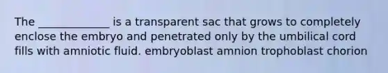 The _____________ is a transparent sac that grows to completely enclose the embryo and penetrated only by the umbilical cord fills with amniotic fluid. embryoblast amnion trophoblast chorion