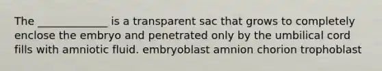 The _____________ is a transparent sac that grows to completely enclose the embryo and penetrated only by the umbilical cord fills with amniotic fluid. embryoblast amnion chorion trophoblast