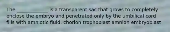 The _____________ is a transparent sac that grows to completely enclose the embryo and penetrated only by the umbilical cord fills with amniotic fluid. chorion trophoblast amnion embryoblast