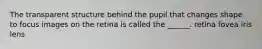 The transparent structure behind the pupil that changes shape to focus images on the retina is called the ______. retina fovea iris lens