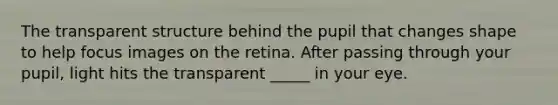 The transparent structure behind the pupil that changes shape to help focus images on the retina. After passing through your pupil, light hits the transparent _____ in your eye.