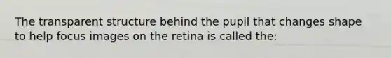 The transparent structure behind the pupil that changes shape to help focus images on the retina is called the: