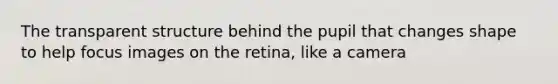 The transparent structure behind the pupil that changes shape to help focus images on the retina, like a camera