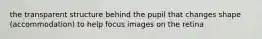 the transparent structure behind the pupil that changes shape (accommodation) to help focus images on the retina