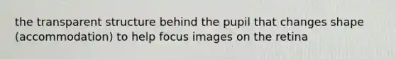 the transparent structure behind the pupil that changes shape (accommodation) to help focus images on the retina