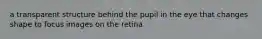 a transparent structure behind the pupil in the eye that changes shape to focus images on the retina