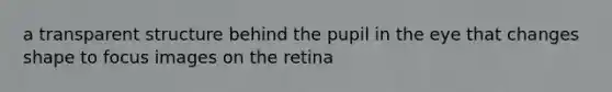 a transparent structure behind the pupil in the eye that changes shape to focus images on the retina