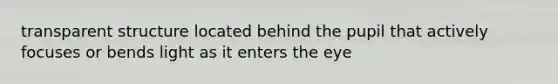 transparent structure located behind the pupil that actively focuses or bends light as it enters the eye