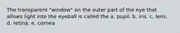 The transparent "window" on the outer part of the eye that allows light into the eyeball is called the a. pupil. b. iris. c. lens. d. retina. e. cornea