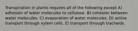 Transpiration in plants requires all of the following except A) adhesion of water molecules to cellulose. B) cohesion between water molecules. C) evaporation of water molecules. D) active transport through xylem cells. E) transport through tracheids.