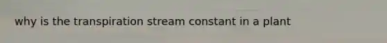 why is the transpiration stream constant in a plant