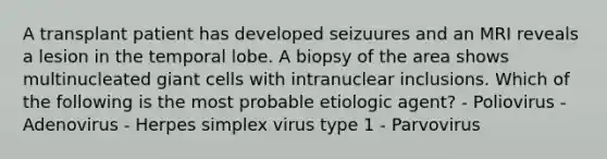 A transplant patient has developed seizuures and an MRI reveals a lesion in the temporal lobe. A biopsy of the area shows multinucleated giant cells with intranuclear inclusions. Which of the following is the most probable etiologic agent? - Poliovirus - Adenovirus - Herpes simplex virus type 1 - Parvovirus