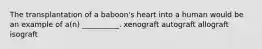 The transplantation of a baboon's heart into a human would be an example of a(n) __________. xenograft autograft allograft isograft