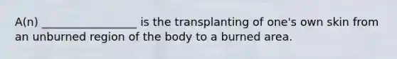 A(n) _________________ is the transplanting of one's own skin from an unburned region of the body to a burned area.