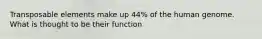 Transposable elements make up 44% of the human genome. What is thought to be their function