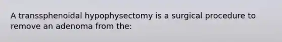 A transsphenoidal hypophysectomy is a surgical procedure to remove an adenoma from the: