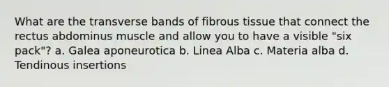 What are the transverse bands of fibrous tissue that connect the rectus abdominus muscle and allow you to have a visible "six pack"? a. Galea aponeurotica b. Linea Alba c. Materia alba d. Tendinous insertions