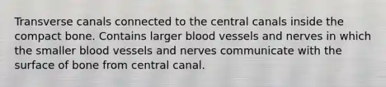 Transverse canals connected to the central canals inside the compact bone. Contains larger blood vessels and nerves in which the smaller blood vessels and nerves communicate with the surface of bone from central canal.