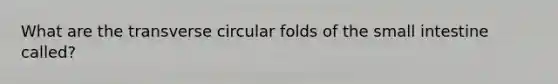 What are the transverse circular folds of the small intestine called?