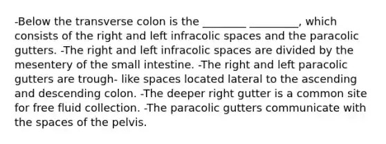 -Below the transverse colon is the ________ _________, which consists of the right and left infracolic spaces and the paracolic gutters. -The right and left infracolic spaces are divided by the mesentery of the small intestine. -The right and left paracolic gutters are trough- like spaces located lateral to the ascending and descending colon. -The deeper right gutter is a common site for free fluid collection. -The paracolic gutters communicate with the spaces of the pelvis.