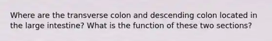 Where are the transverse colon and descending colon located in the large intestine? What is the function of these two sections?