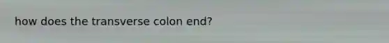 how does the transverse colon end?