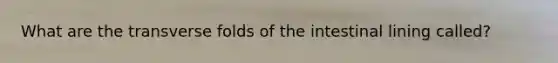What are the transverse folds of the intestinal lining called?