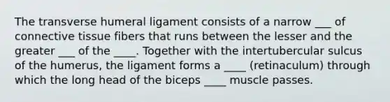 The transverse humeral ligament consists of a narrow ___ of connective tissue fibers that runs between the lesser and the greater ___ of the ____. Together with the intertubercular sulcus of the humerus, the ligament forms a ____ (retinaculum) through which the long head of the biceps ____ muscle passes.