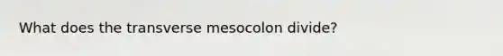 What does the transverse mesocolon divide?