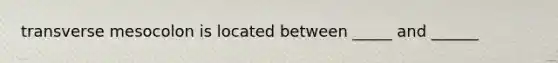 transverse mesocolon is located between _____ and ______