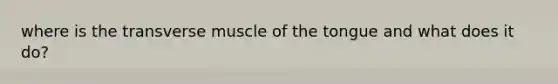 where is the transverse muscle of the tongue and what does it do?