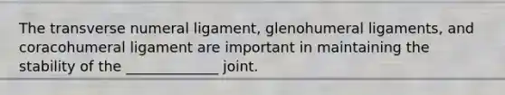 The transverse numeral ligament, glenohumeral ligaments, and coracohumeral ligament are important in maintaining the stability of the _____________ joint.