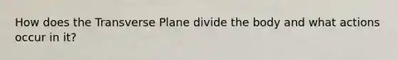 How does the Transverse Plane divide the body and what actions occur in it?