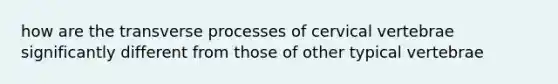 how are the transverse processes of cervical vertebrae significantly different from those of other typical vertebrae