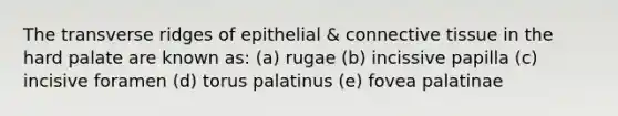 The transverse ridges of epithelial & connective tissue in the hard palate are known as: (a) rugae (b) incissive papilla (c) incisive foramen (d) torus palatinus (e) fovea palatinae