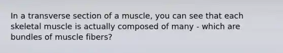 In a transverse section of a muscle, you can see that each skeletal muscle is actually composed of many - which are bundles of muscle fibers?