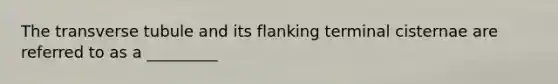 The transverse tubule and its flanking terminal cisternae are referred to as a _________