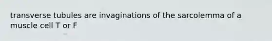 transverse tubules are invaginations of the sarcolemma of a muscle cell T or F