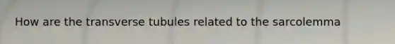 How are the transverse tubules related to the sarcolemma