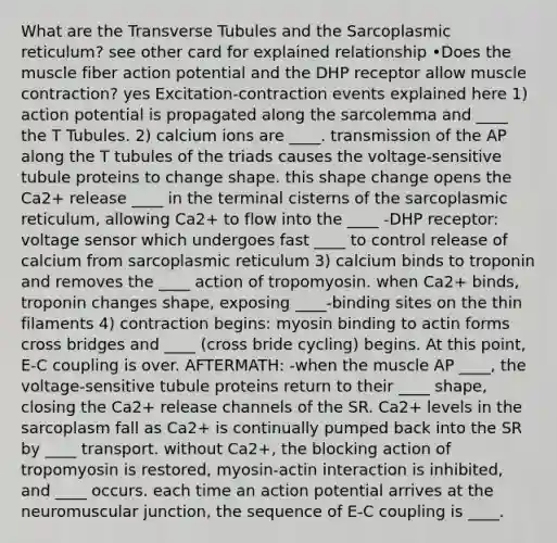 What are the Transverse Tubules and the Sarcoplasmic reticulum? see other card for explained relationship •Does the muscle fiber action potential and the DHP receptor allow muscle contraction? yes Excitation-contraction events explained here 1) action potential is propagated along the sarcolemma and ____ the T Tubules. 2) calcium ions are ____. transmission of the AP along the T tubules of the triads causes the voltage-sensitive tubule proteins to change shape. this shape change opens the Ca2+ release ____ in the terminal cisterns of the sarcoplasmic reticulum, allowing Ca2+ to flow into the ____ -DHP receptor: voltage sensor which undergoes fast ____ to control release of calcium from sarcoplasmic reticulum 3) calcium binds to troponin and removes the ____ action of tropomyosin. when Ca2+ binds, troponin changes shape, exposing ____-binding sites on the thin filaments 4) contraction begins: myosin binding to actin forms cross bridges and ____ (cross bride cycling) begins. At this point, E-C coupling is over. AFTERMATH: -when the muscle AP ____, the voltage-sensitive tubule proteins return to their ____ shape, closing the Ca2+ release channels of the SR. Ca2+ levels in the sarcoplasm fall as Ca2+ is continually pumped back into the SR by ____ transport. without Ca2+, the blocking action of tropomyosin is restored, myosin-actin interaction is inhibited, and ____ occurs. each time an action potential arrives at the neuromuscular junction, the sequence of E-C coupling is ____.