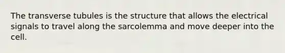 The transverse tubules is the structure that allows the electrical signals to travel along the sarcolemma and move deeper into the cell.